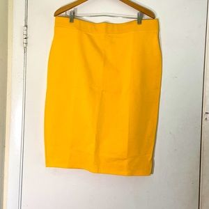 2 For $12 Iris Stretch Skirt 3X
